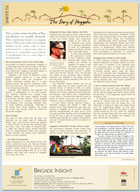 Brigade Insight